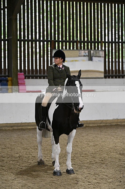 WJ7_3918 - Class 17 Ridden Cob