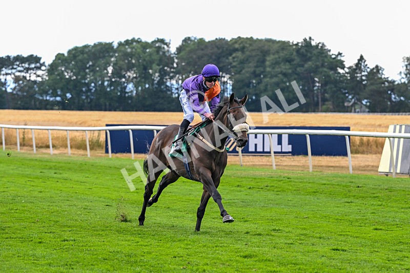 070826-Race 6-Great Profit-2174 - Race 6 16.40pm Country Music Night Here Next Friday 14th August Handicap