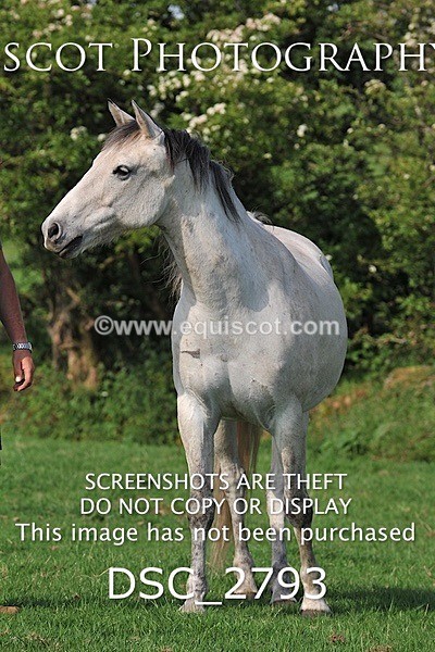 DSC_2793 - ARCHIVE REQUEST - Quincy and Guinness