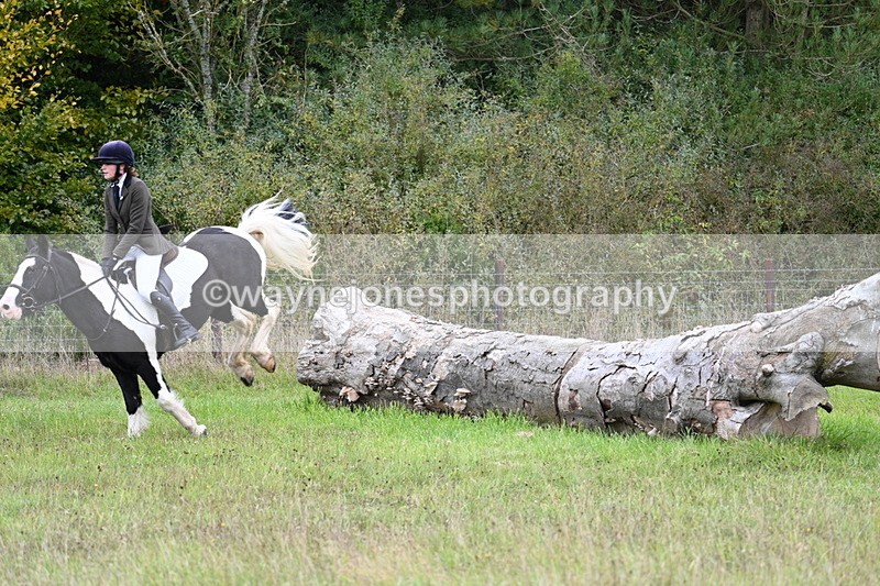 WJ7_3788 - Camera 1 Line 1