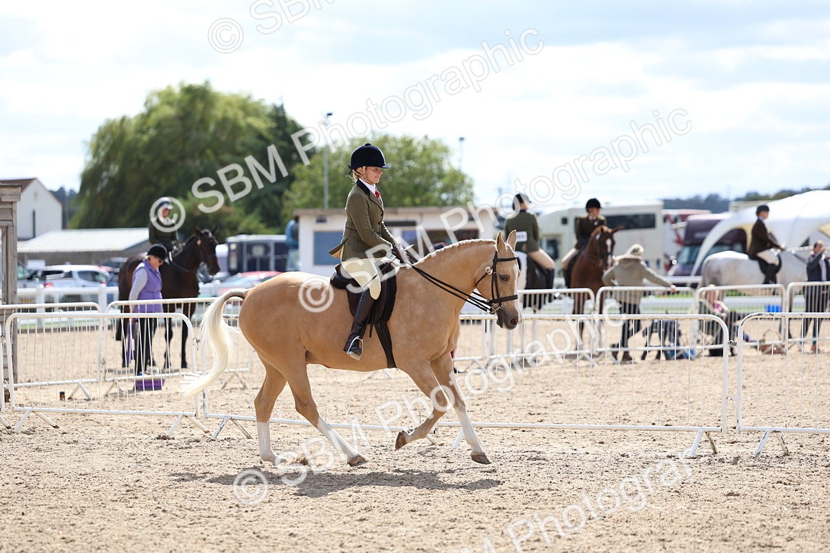 SBM_13275 - Class 311 - Ridden Show Pony Show Hunter Pony
