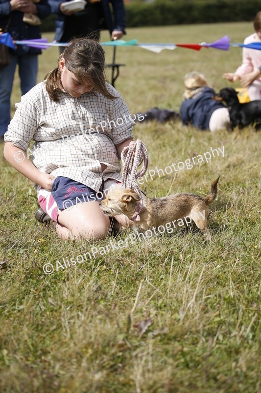 20250831-3651 - Dog Show
