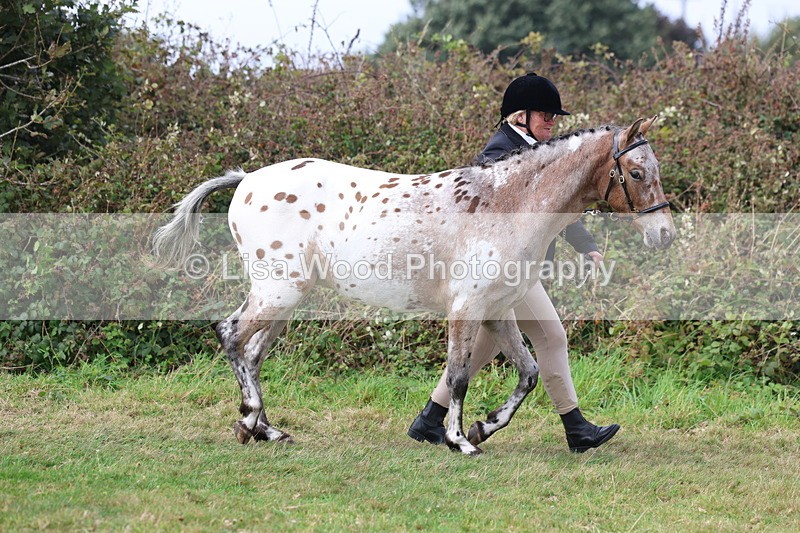 3E7A5359 - Class 19: Best Coloured in Hand