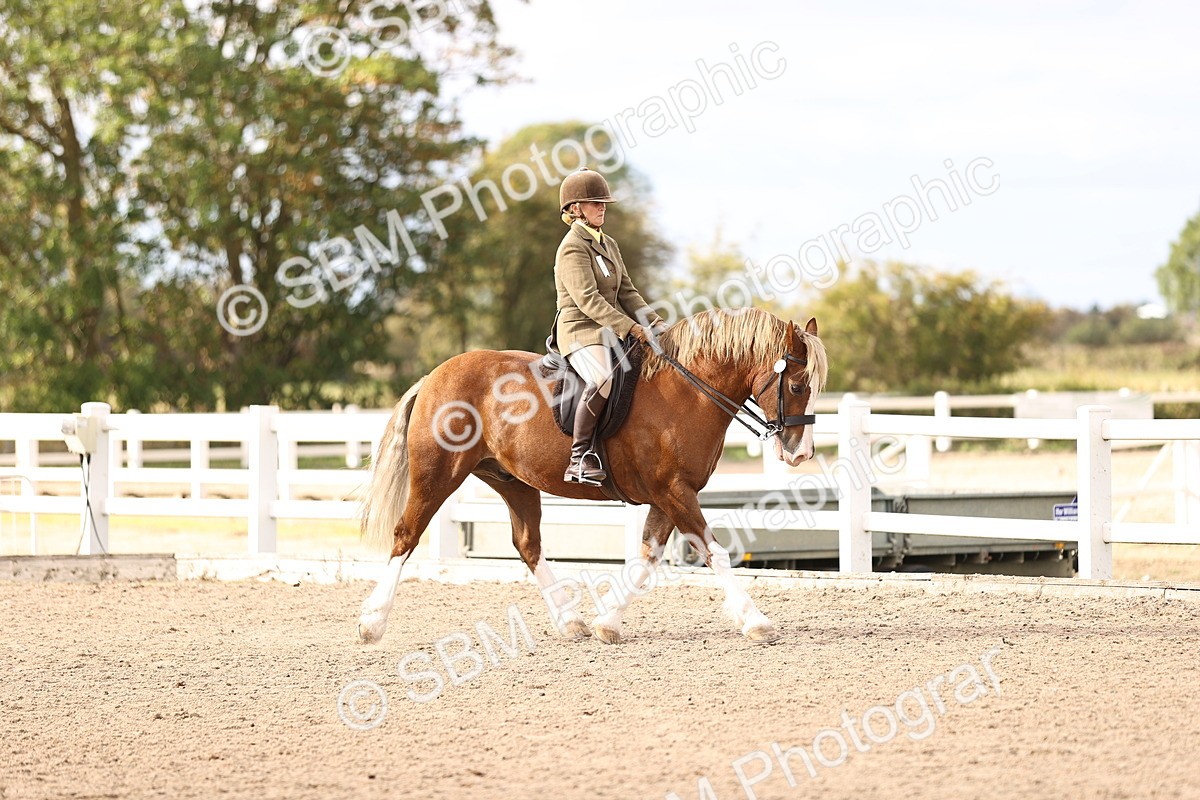 SBM_18145 - Class 423 - Equitation (best rider) Adult