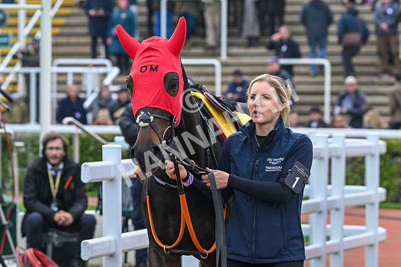 161124-Race 1-Paddock-Static-9136 - Race 1