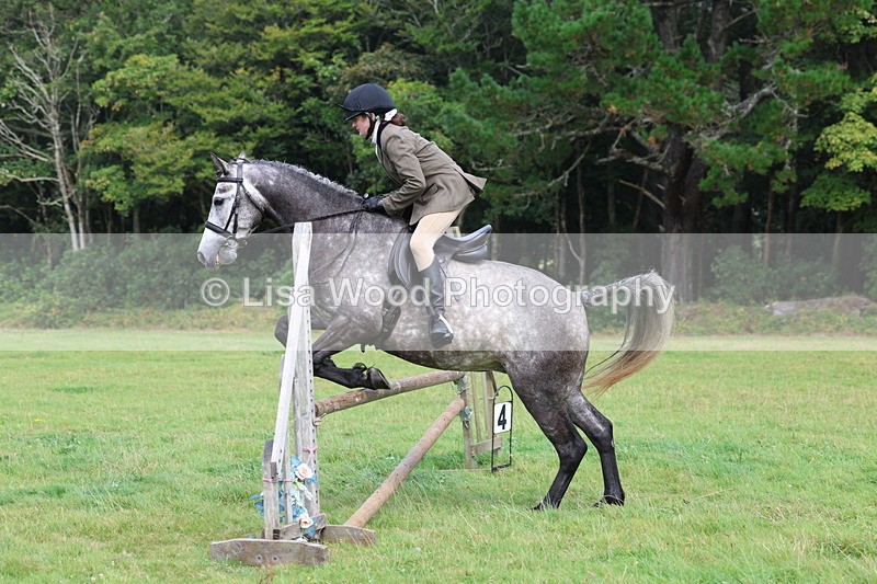 3E7A5950 - Class 28: 75cm Working Hunter