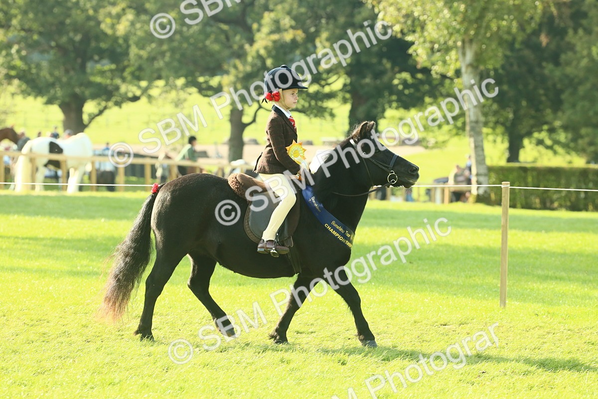 SBM_59279 - S38 - Starters Ridden Showing