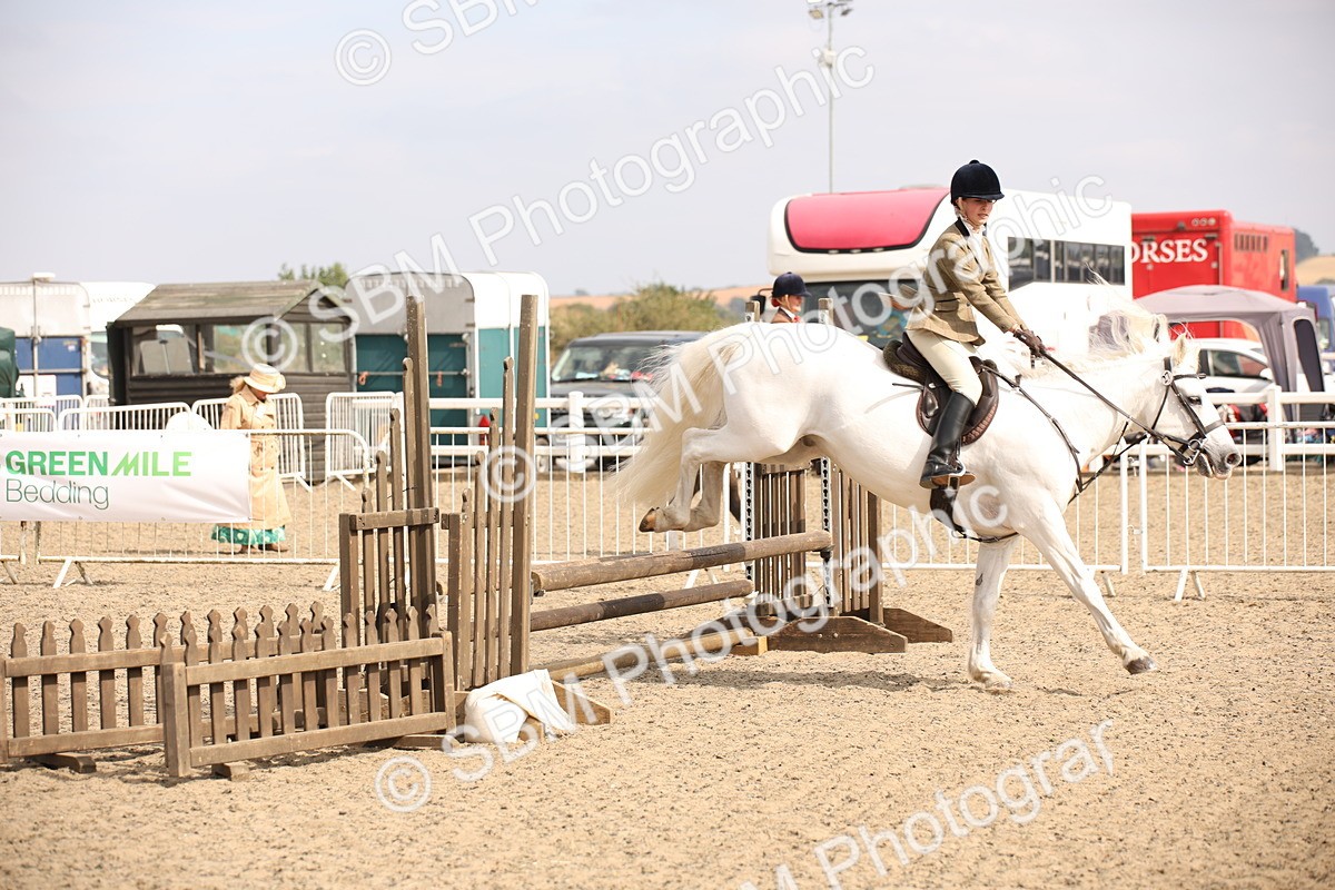 SBM_16094 - Class 408b - Working Veteran 70cm (20+)