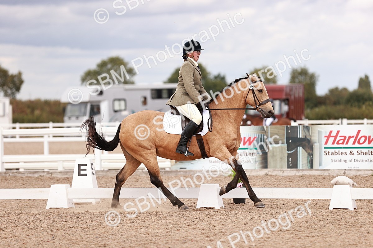 SBM_06331 - Class 37 - Novice 5