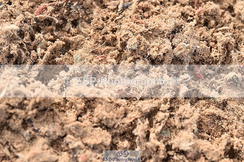 231029A-114336-03104 - Pony Newcomers & 1m Open