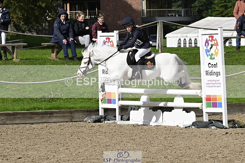 251005A-121726-03705 - Cls 08 Mini 70-75cm