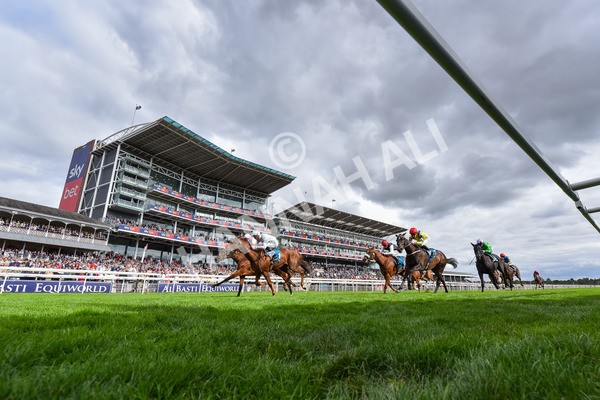 210825-Race 5-Charlottes Web-9162 - Race 5 4.10pm British EBF & Sir Henry Cecil Galtres Stakes