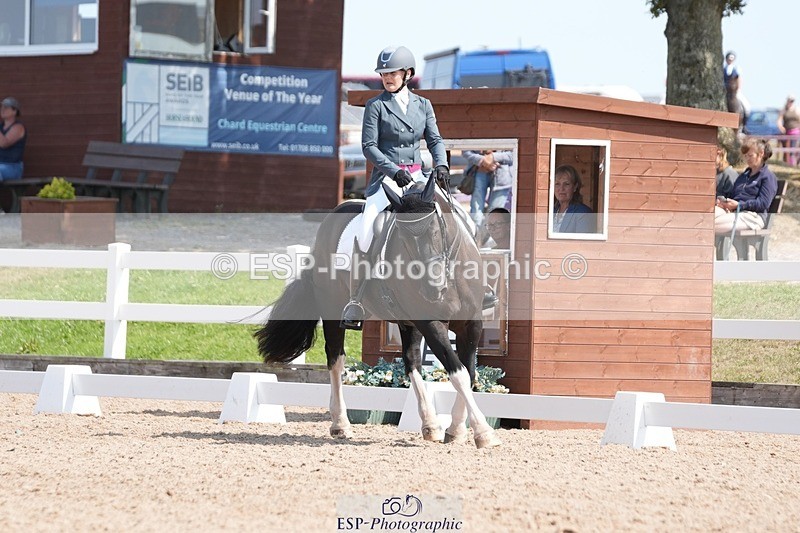 250817-122519-09058 - 163-Hannah.TownleyThe.Domino.Effect