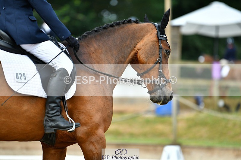 230623-091320-01782 - Cls 2 Prelim 19Q Start to 10.04 break