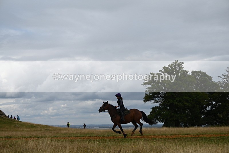 DSC_9161 - Time at Statue 14:33 to 15:10