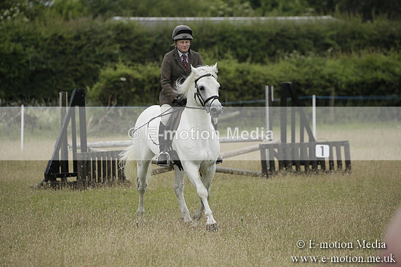 B230619-0105 - Bourne Valley Riding Club Summer Show 23/06/19