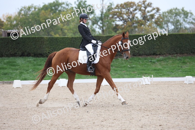 20251011-0569 - Class 4 - Novice 2