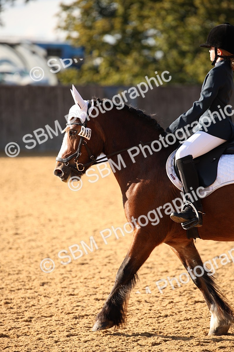 SBM_28343 - D11 - Small Tour Championship - Prelim 13