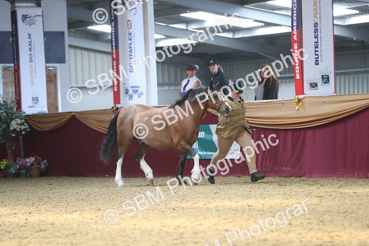 SBM_15214 - Class 501 M&M IH Supreme Final