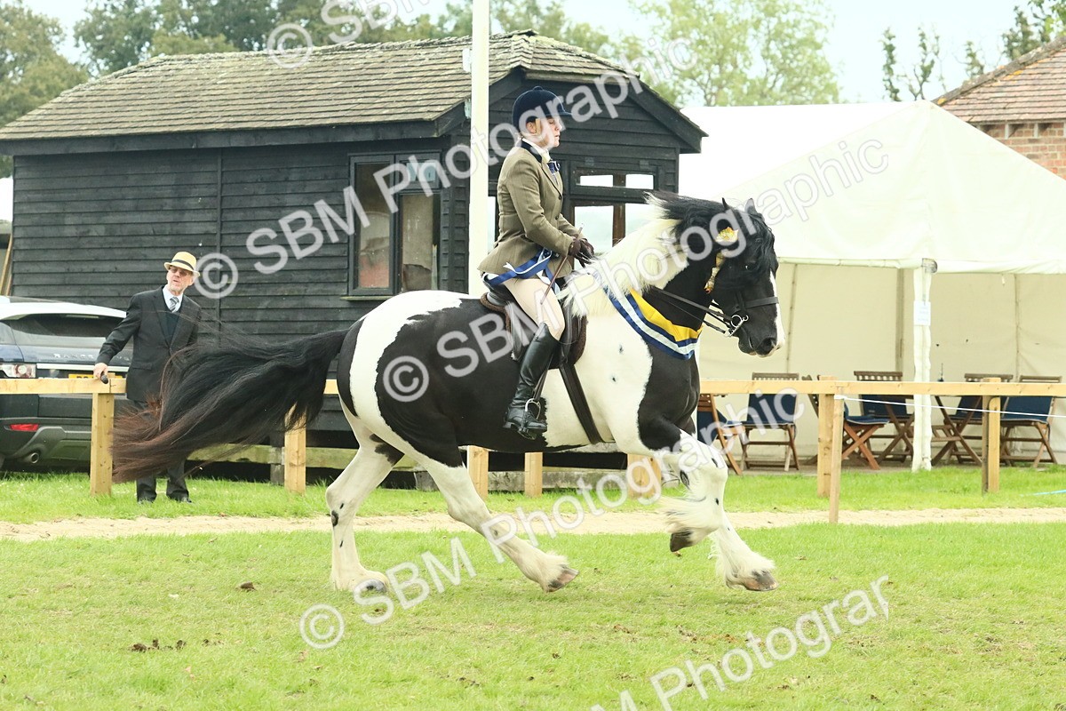 SBM_75162 - Super Supreme Championship