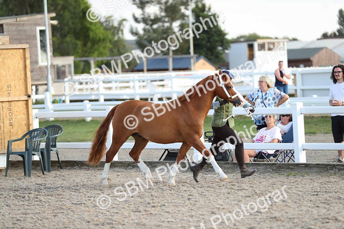 SBM_08920 - Class 29 IH Veteran Pony