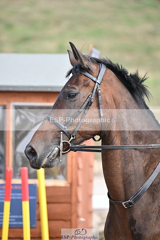 250821B-160958-00536 - Group A - Emily