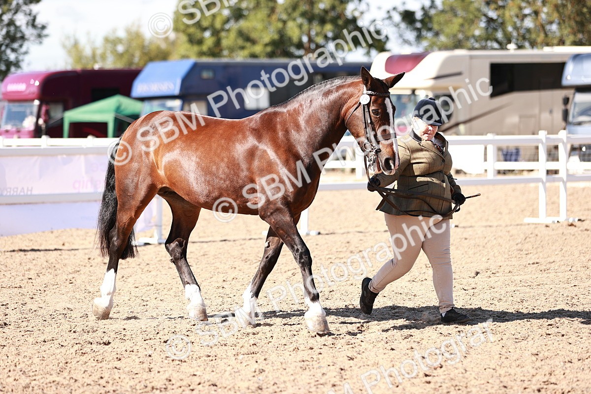 SBM_13216 - Class 405 - IH Show Cob
