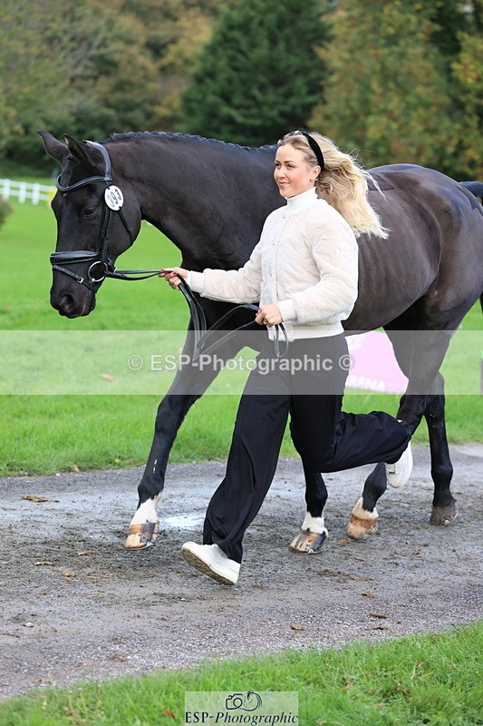 251026A-103510-23121 - E-393-Saskia.Rioux