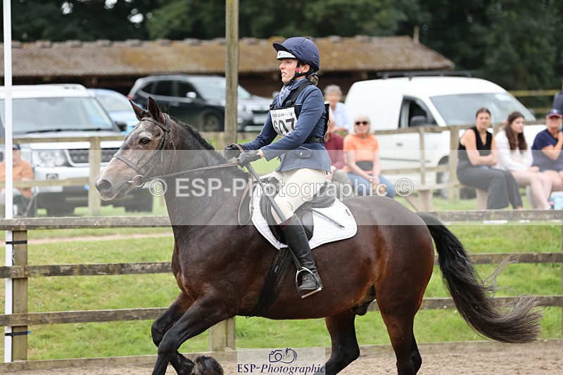 240804-144239-16038 - 607-Abi_Mobbs-MYSTICAL_ADMIRAL