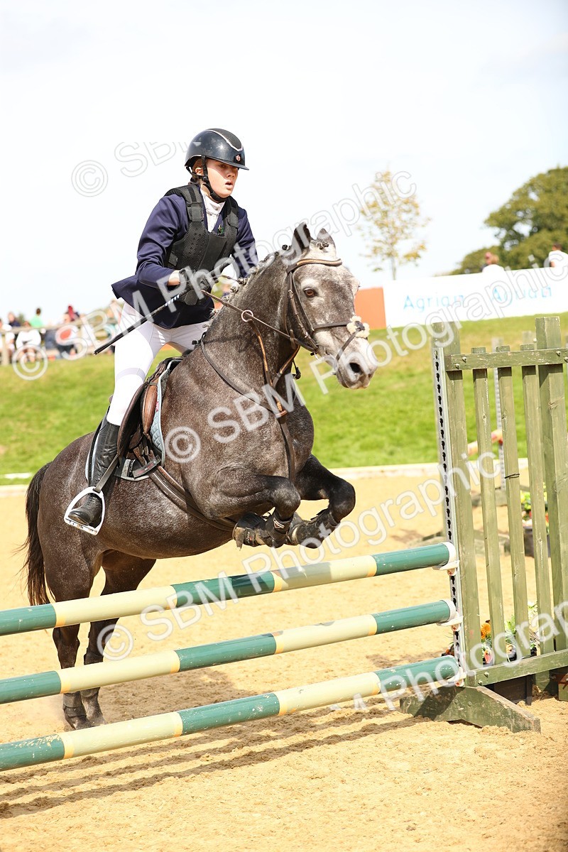 SBM_66171 - J17 - Junior Pony 80cm Championship