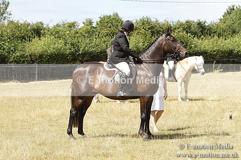 _BS_0792 - BVRC Show 2018 Ring 1