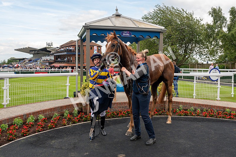 240625-Race 7-Azuinthejungle-0975 - Race 7