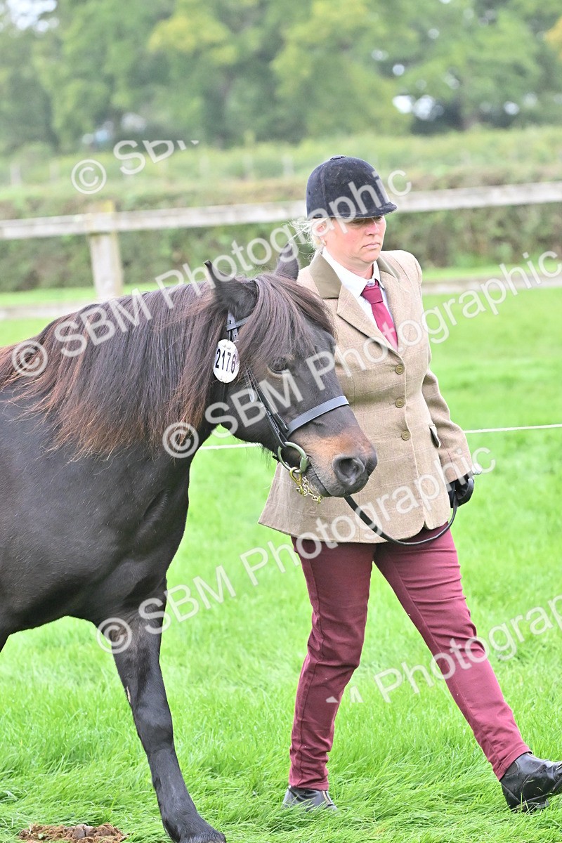 SBM_60912 - S48 - Mountain & Moorland In Hand Small Breeds