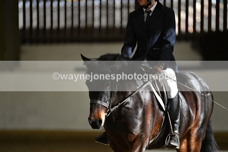 WJ5_7209 - Class 2 Intro Test 2