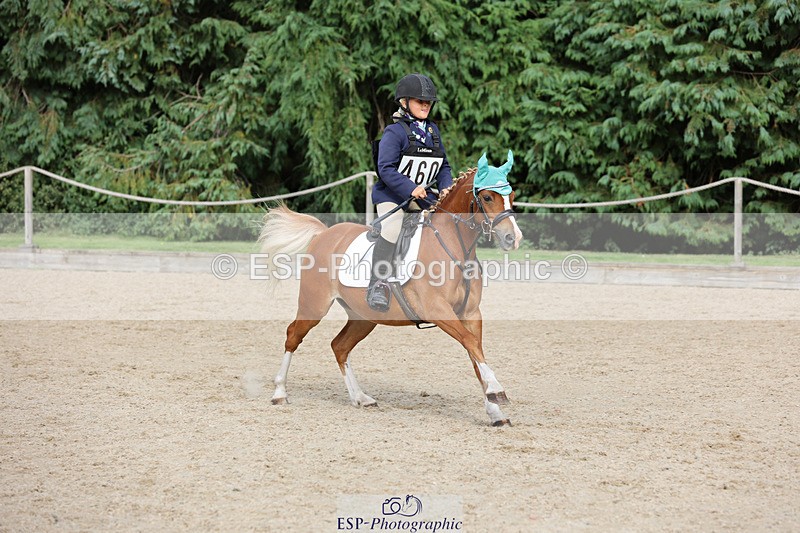 240823X-164706-19903 - 70cm Single Phase All