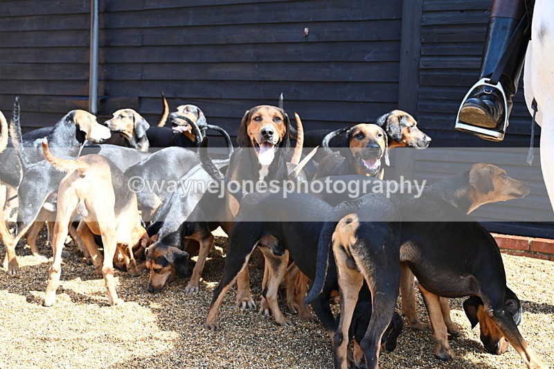 WJ7_7078 - Berks & Bucks at Blandy’s Farm 31-08-25