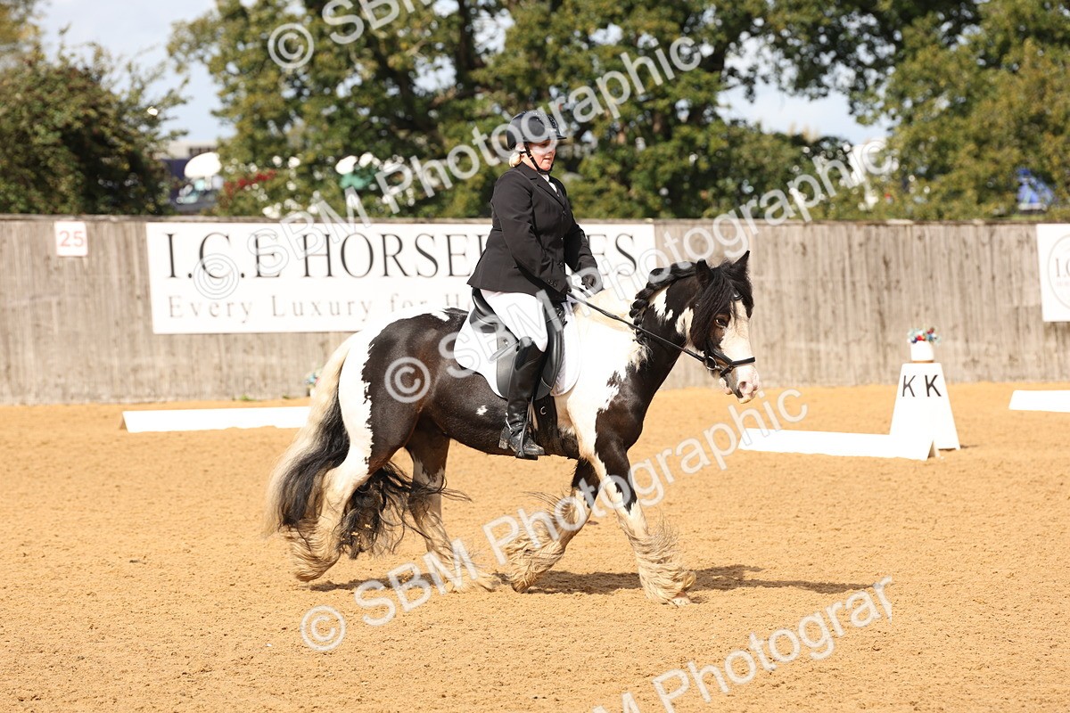 SBM_40694 - D6 - Small Tour Championship Intro 4