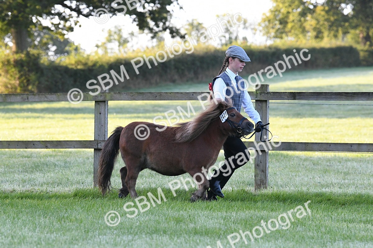 SBM_32547 - S15 - Condition & Turnout In Hand