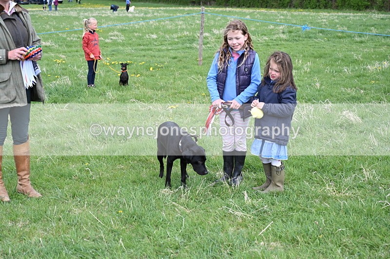 WJ6_8160 - Class 2 Best Pedigree