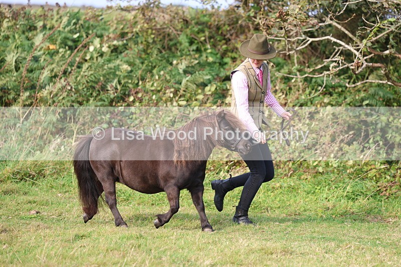 3E7A3164 - Class 12: M & M Small Breeds