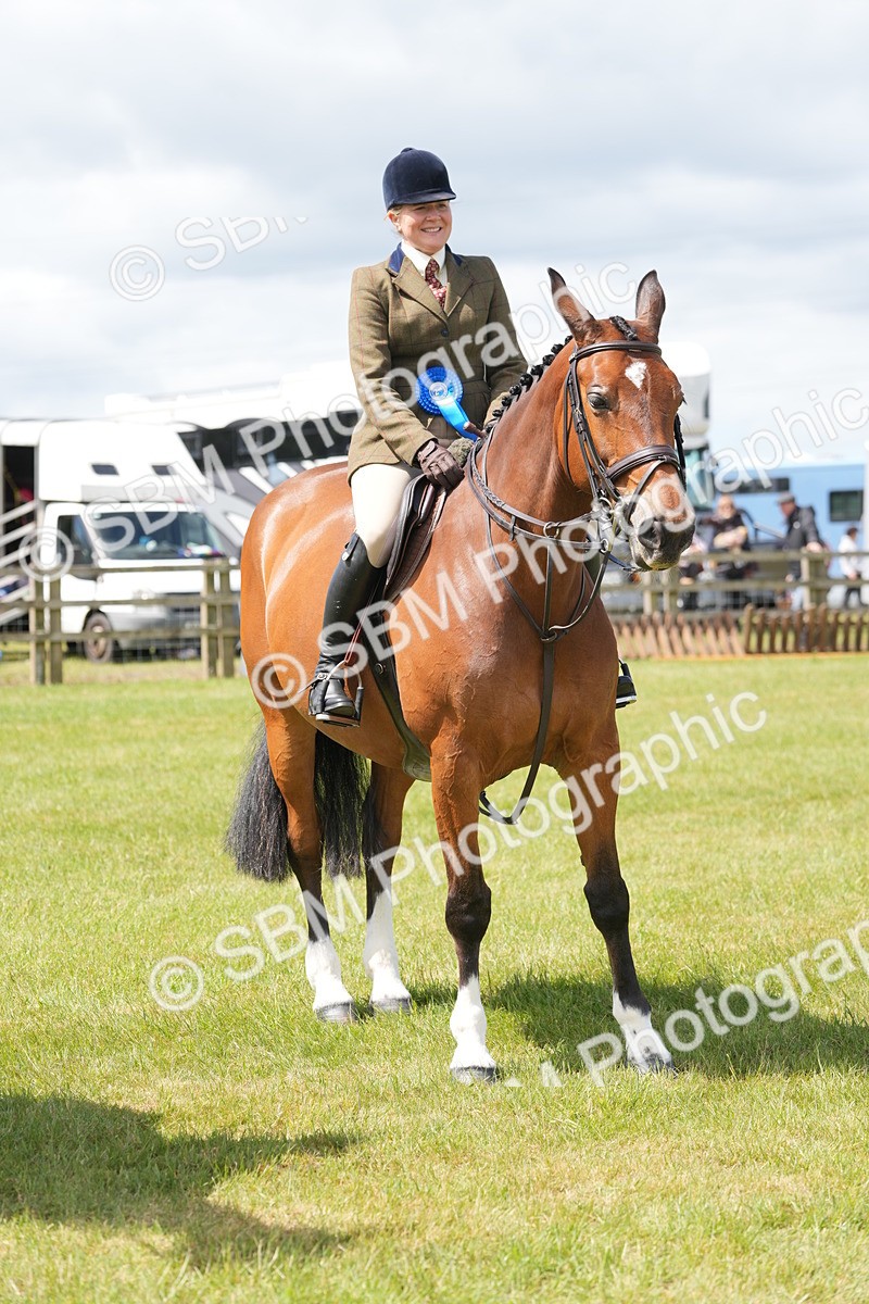 SBM_15057 - Class 100-102 - RIHS Working Hunter