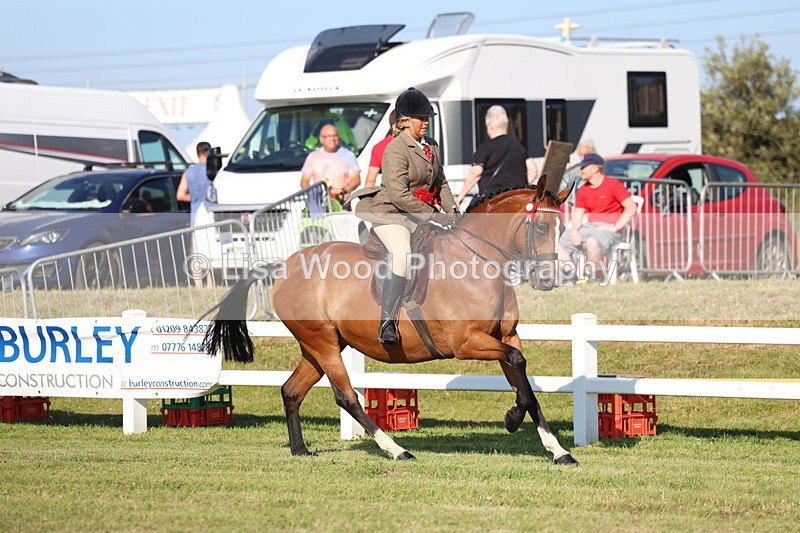 3E7A5203 - Class 1: Rising Star Small Hack/Riding Horses