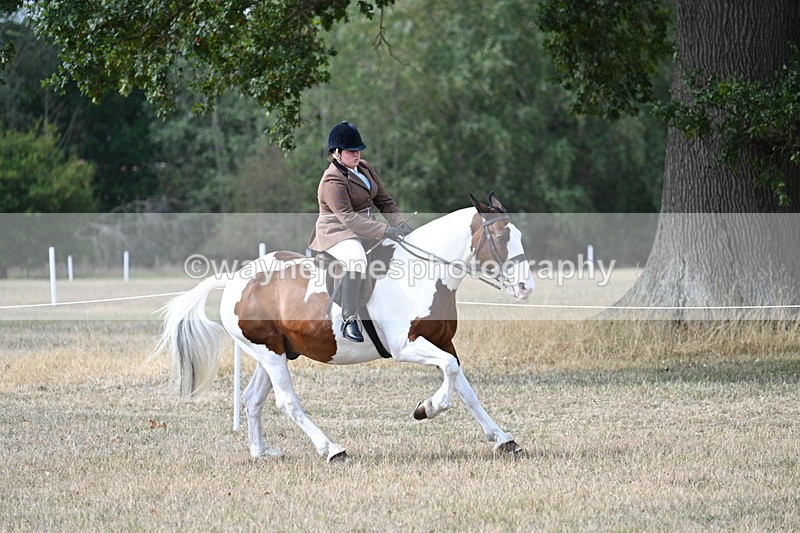 WJ7_7076 - Class 14 Ridden Coloured