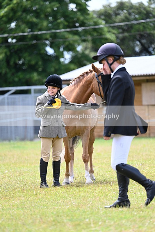 WJ7_6709 - Class 5 Handsome Gelding in hand