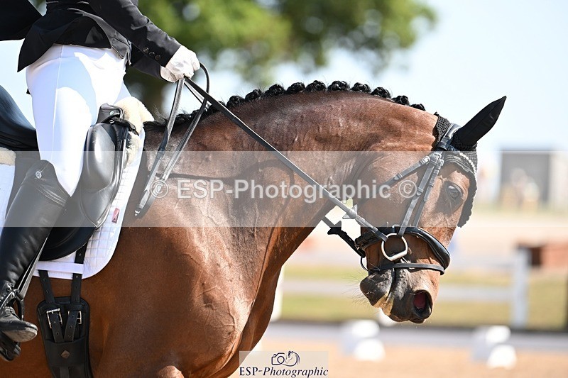 250816-110727-03530 - 069-Lucinda.PaullImperatrix