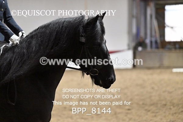 BPP_8144 - INTRO 1