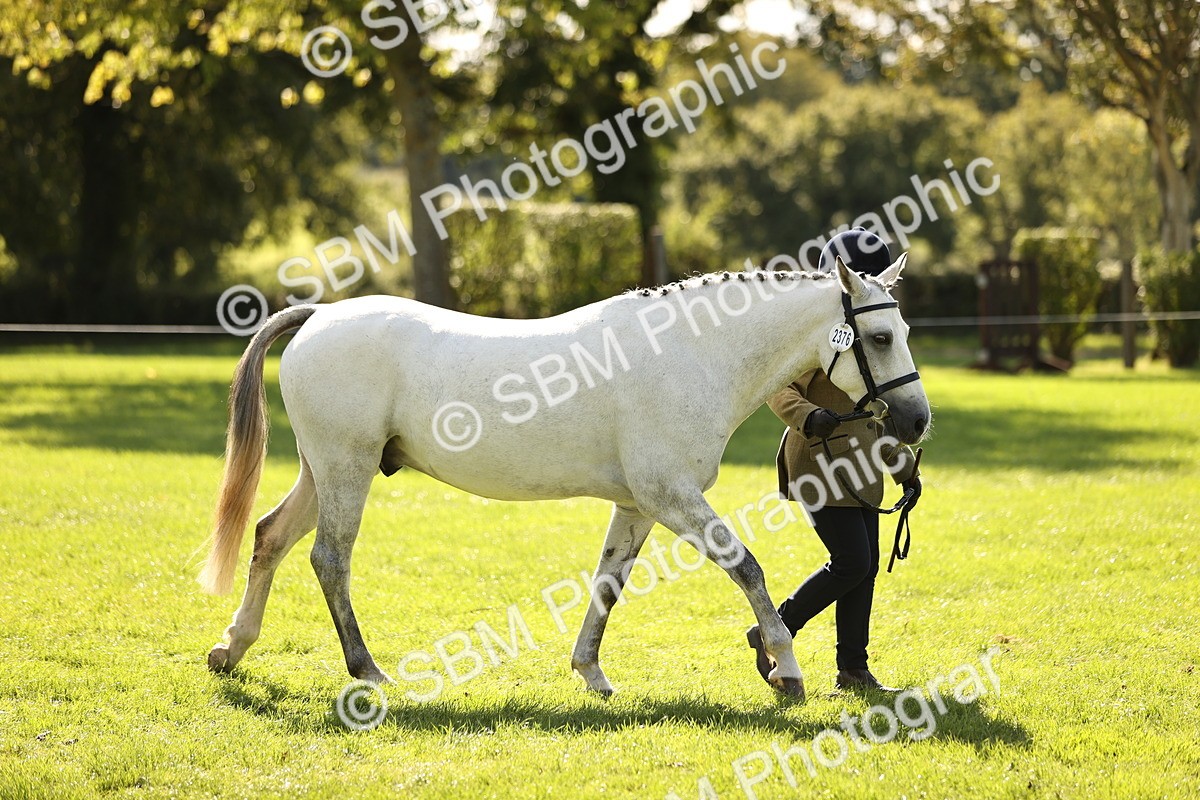 SBM_26122 - S5 - Novice & Newcomers In Hand