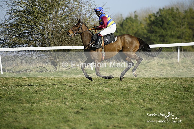 PtP 270222 286 - South & West Wilts Point-to-Point Larkhill 27/02/22