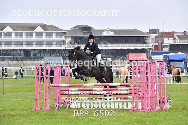 BPP_6502 - CLASS 1 Senior Newcomers/ 1.10m Open