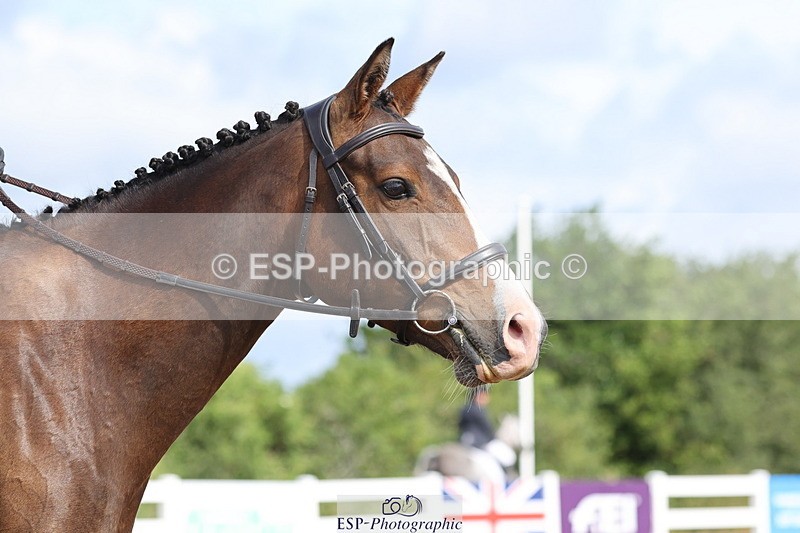 240706A-100141-00342 - Cls 2A Snr Prelim 7 Start to 10 break